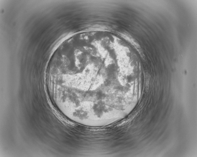 X0000087011423200705141820