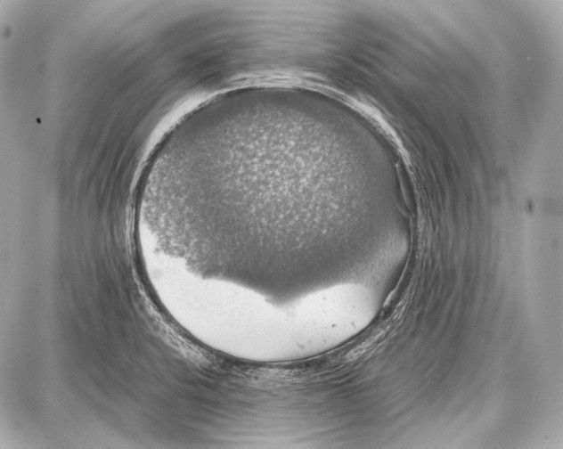 X0000087011424200705141820