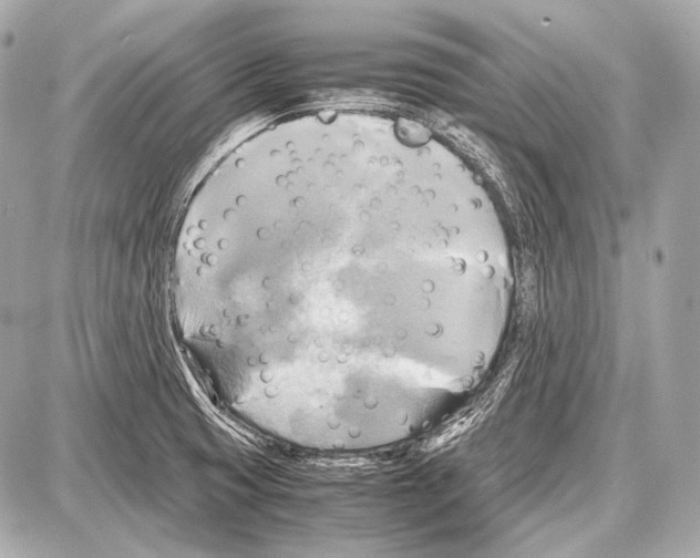 X0000087011425200705141820