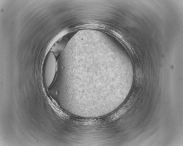 X0000087011426200705141820