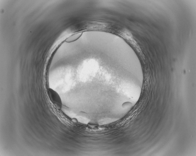 X0000087011427200705141820