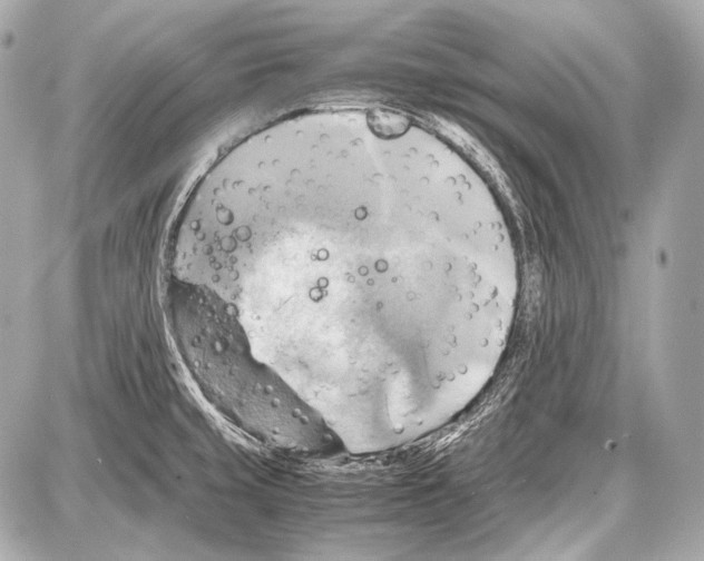 X0000087011429200705141820