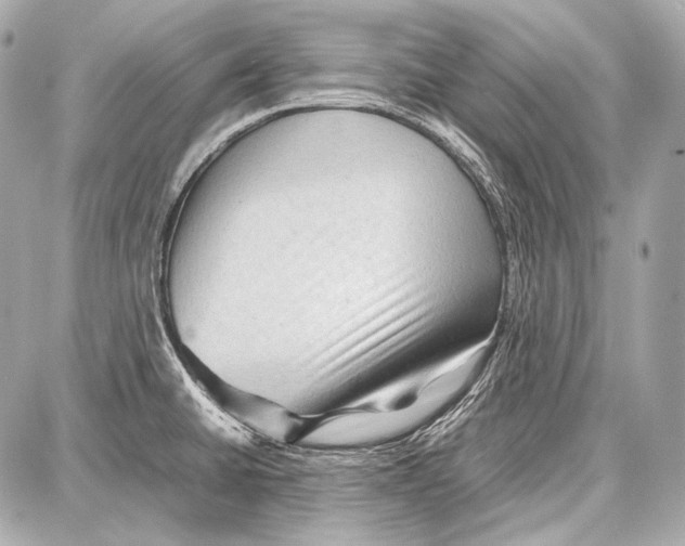 X0000087011430200705141820