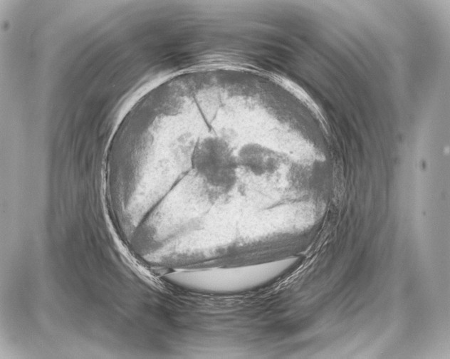 X0000087011431200705141820