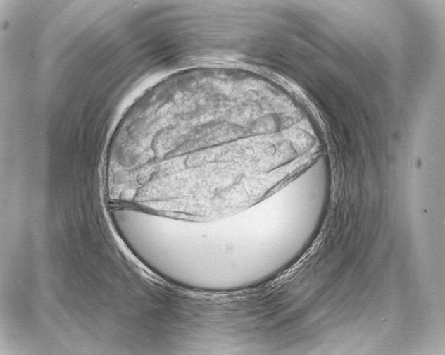 X0000087011432200705141820