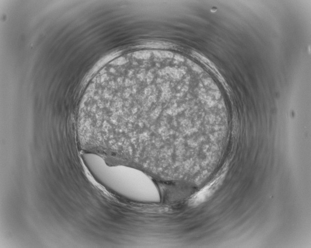 X0000087011433200705141820