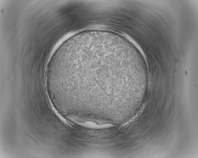 X0000087011437200705141820