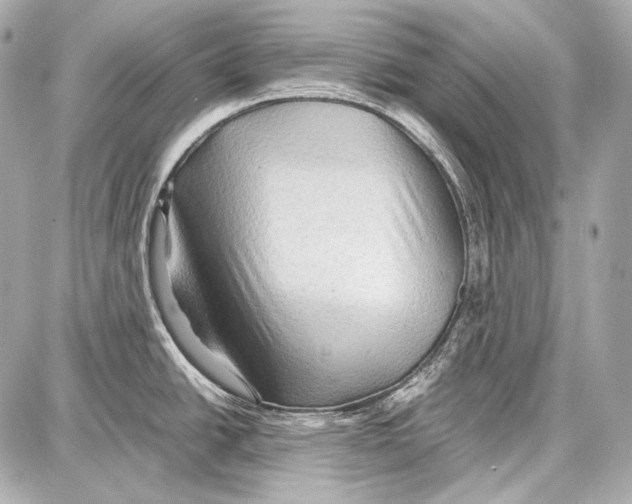 X0000087011438200705141820