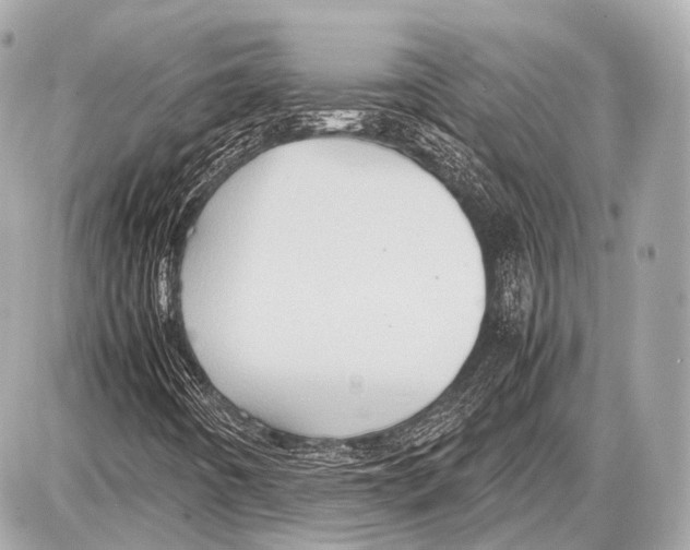 X0000087011442200705141819