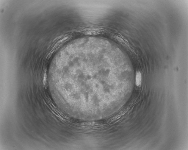 X0000087011444200705141819