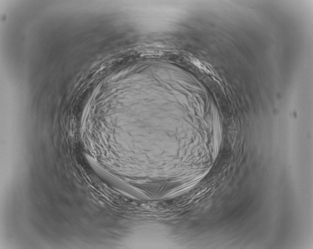 X0000087011445200705141819