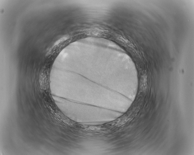 X0000087011446200705141819