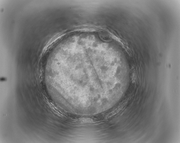 X0000087011448200705141819