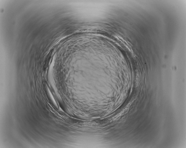 X0000087011449200705141819