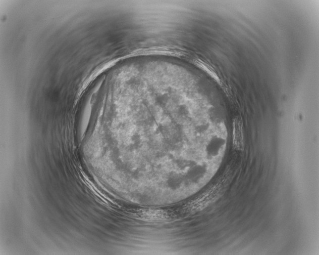 X0000087011452200705141819