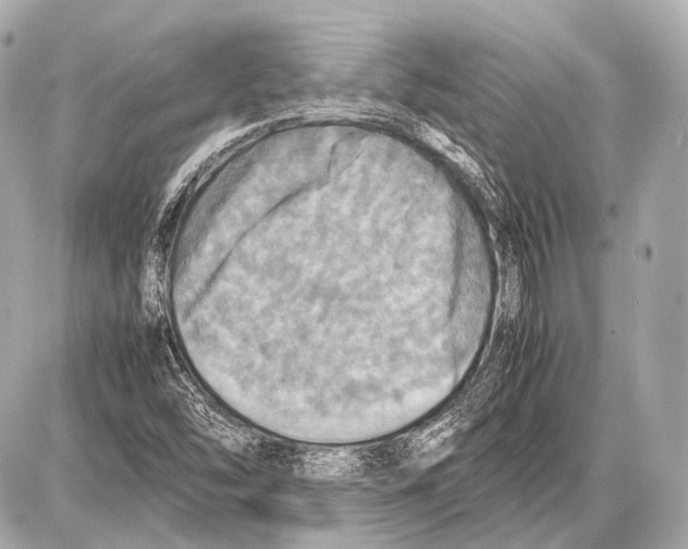 X0000087011454200705141819