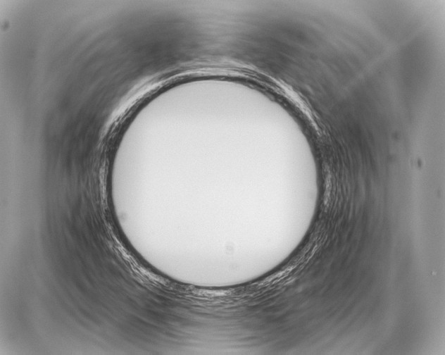 X0000087011456200705141819