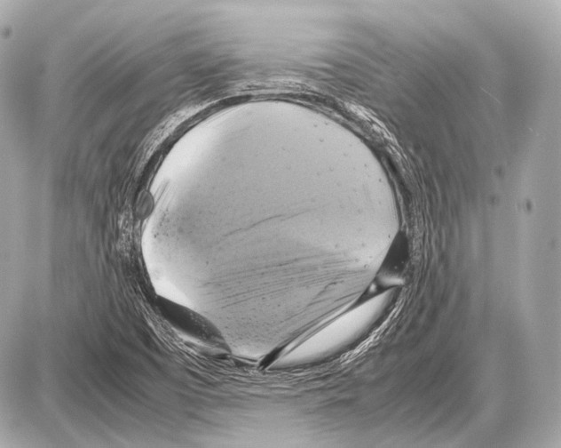 X0000087011457200705141819