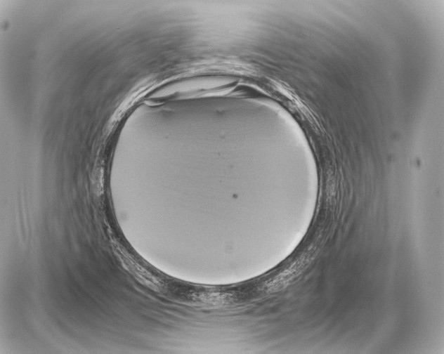 X0000087011459200705141819