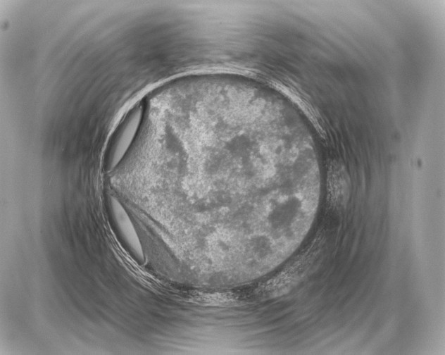 X0000087011460200705141819