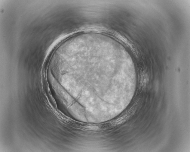 X0000087011462200705141819