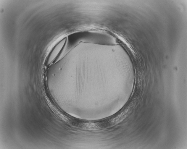 X0000087011463200705141819