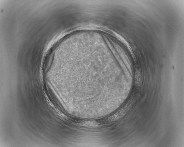 X0000087011464200705141819