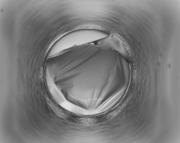 X0000087011465200705141819