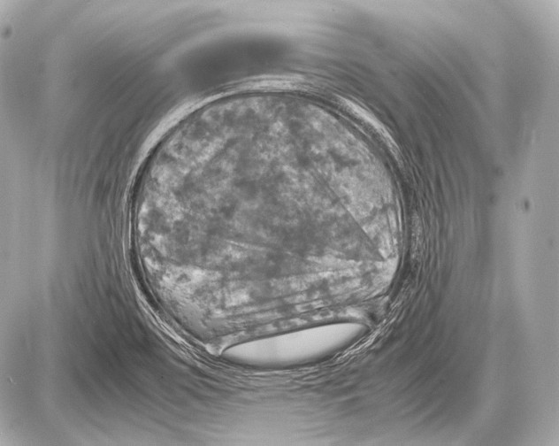 X0000087011467200705141819