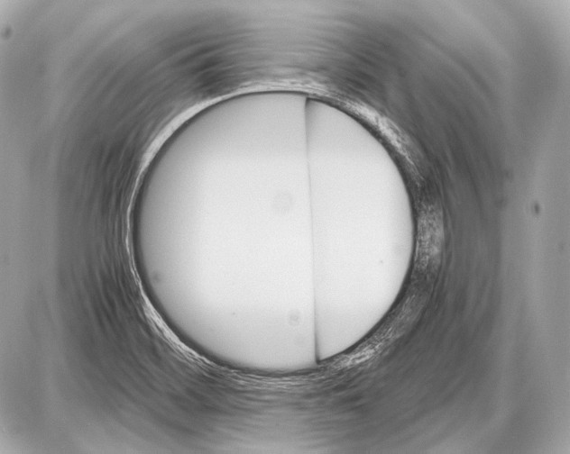 X0000087011468200705141819