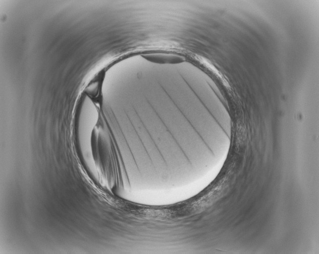 X0000087011469200705141819