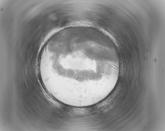 X0000087011470200705141819