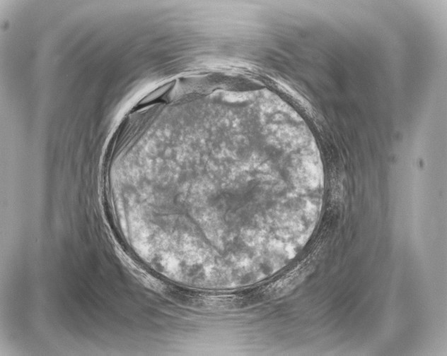 X0000087011471200705141819