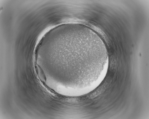 X0000087011472200705141819