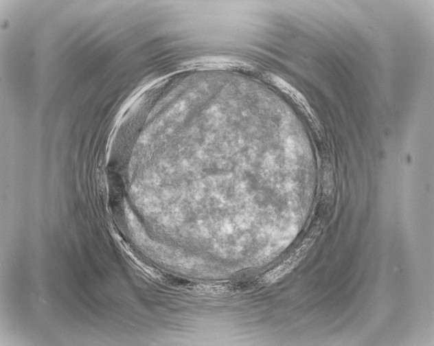 X0000087011473200705141819