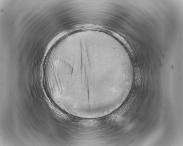 X0000087011474200705141819