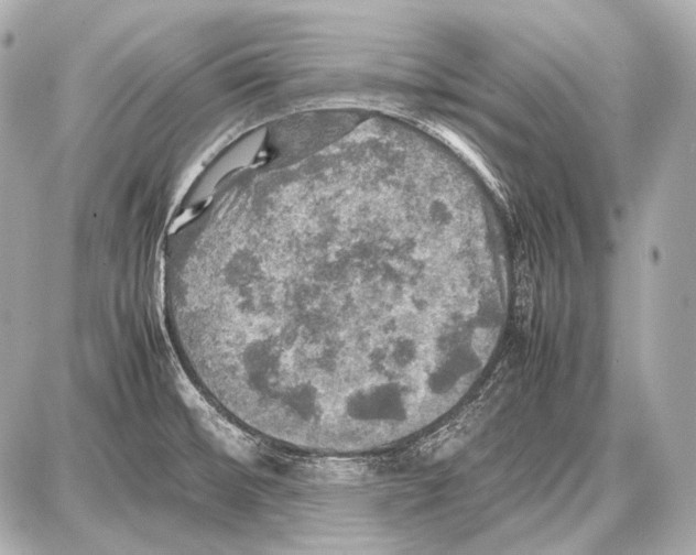 X0000087011476200705141819