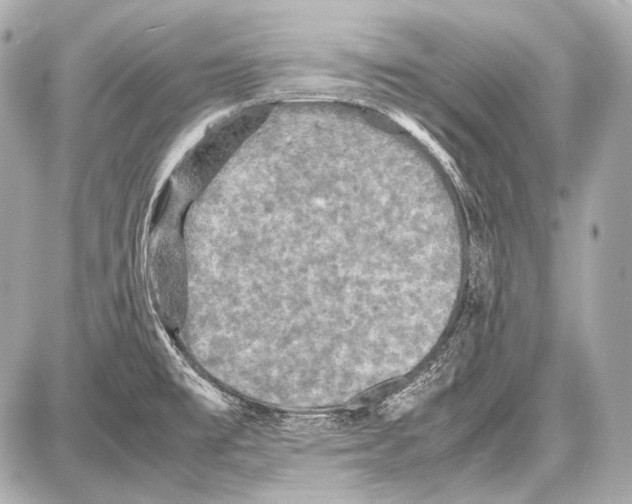 X0000087011477200705141819