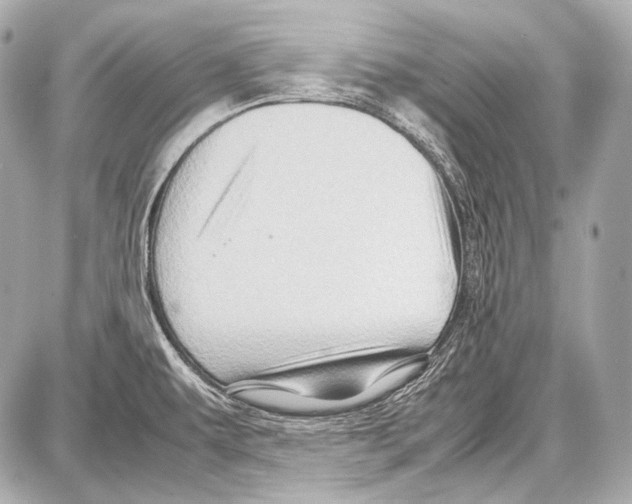 X0000087011479200705141819