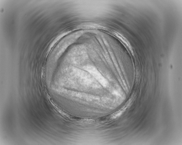 X0000087011481200705141819