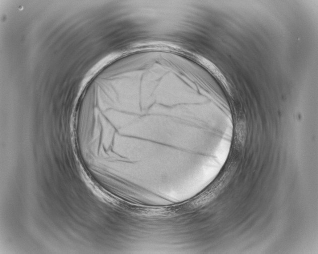 X0000087011482200705141819