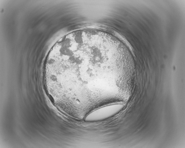 X0000087011483200705141819