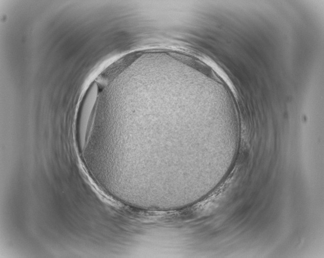 X0000087011485200705141819