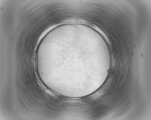 X0000087011486200705141819