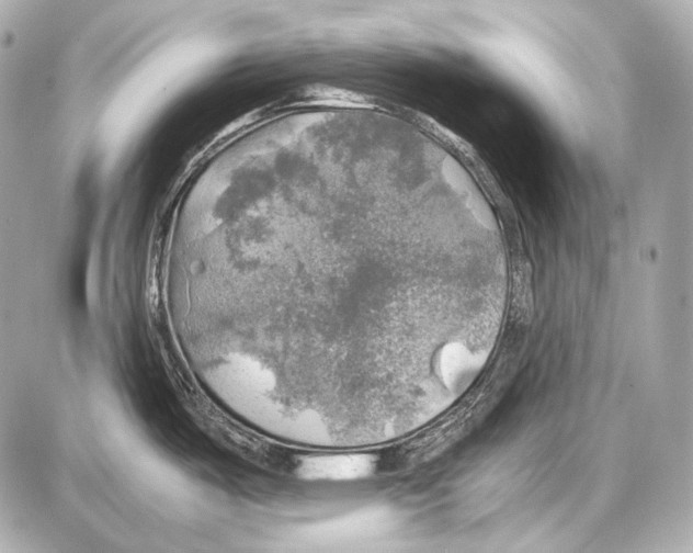 X0000087011487200705141819