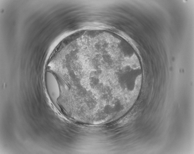 X0000087011488200705141819