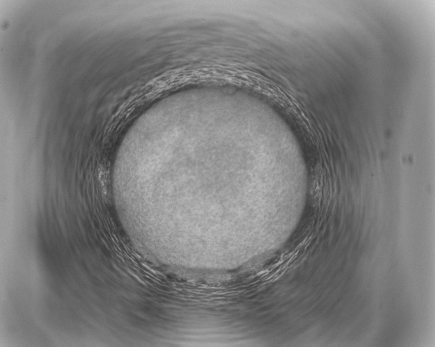 X0000087011490200705141818