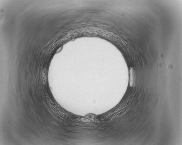 X0000087011491200705141818