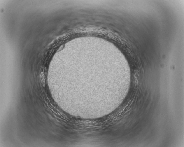 X0000087011493200705141818