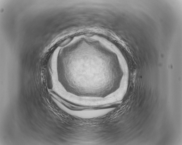 X0000087011496200705141818